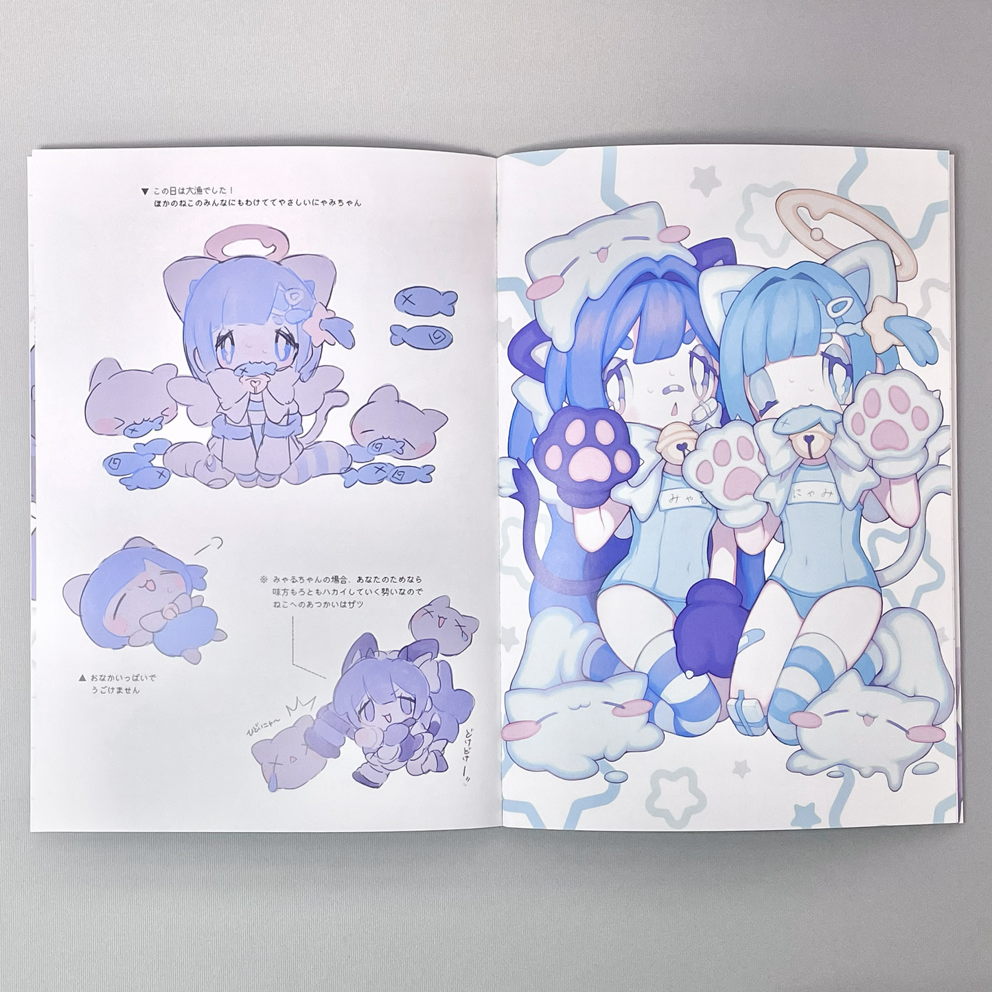 MELT WISHES ILLUSTRATION BOOK vol.1